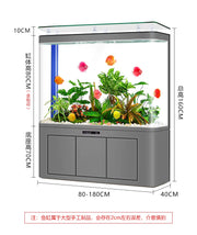 Modern Cultivation Clear Glass Marine Luxury