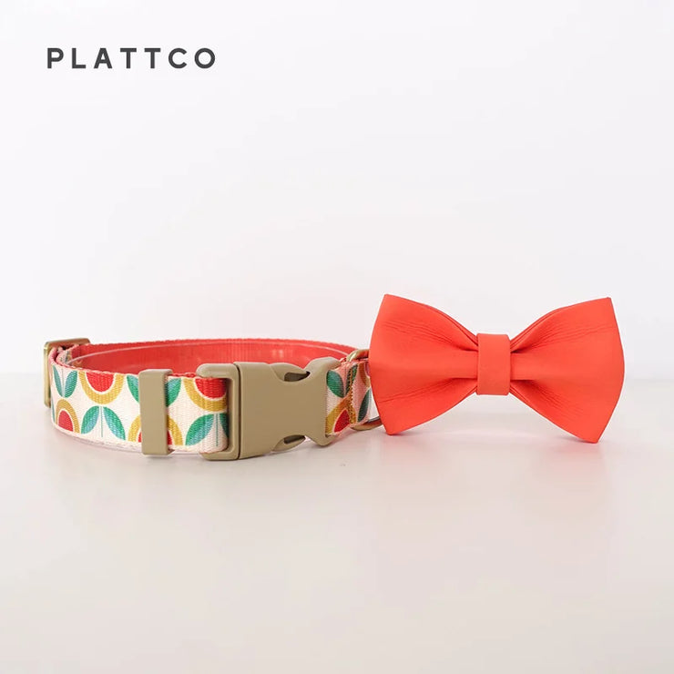 PLATTCO Nylon Printed Dog Collar