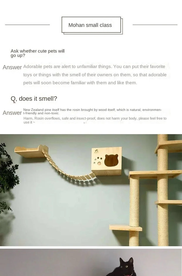 Wooden Cat Climbing Frame Luxury Wall Space Cat Wall