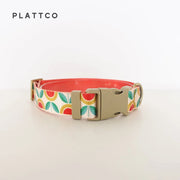 PLATTCO Nylon Printed Dog Collar