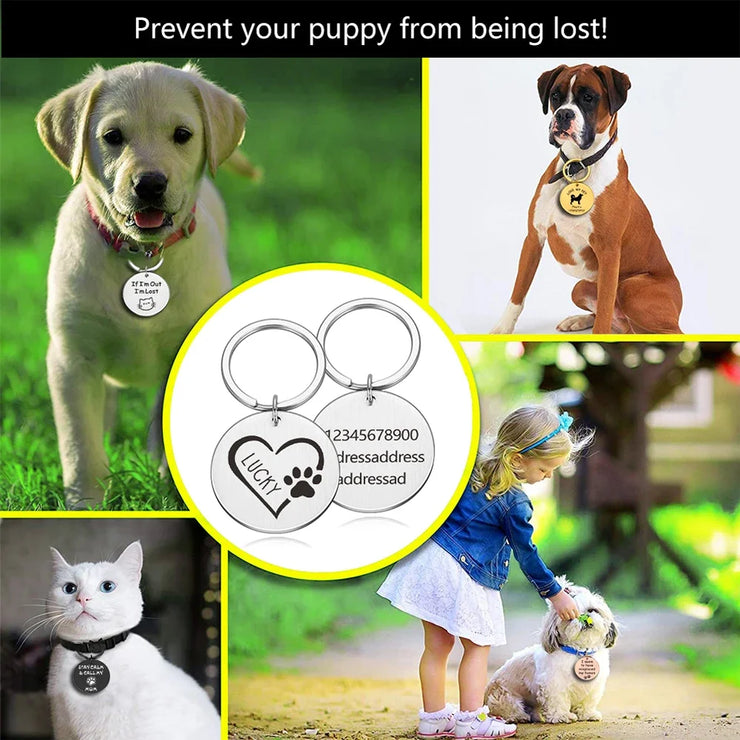 Personalized Pet Cat Dog ID Tag Collar