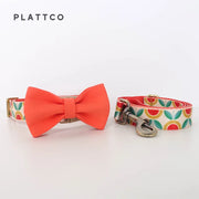 PLATTCO Nylon Printed Dog Collar