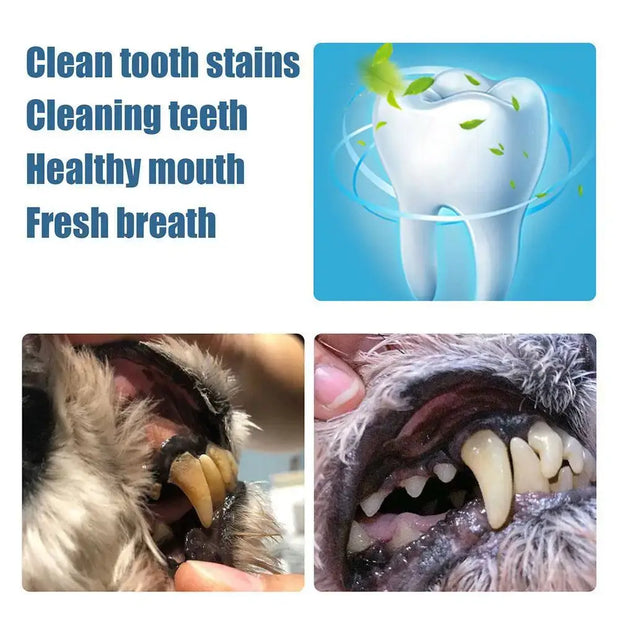 Pet Teeth Cleaner Pen Cats Tartar Dental wellness