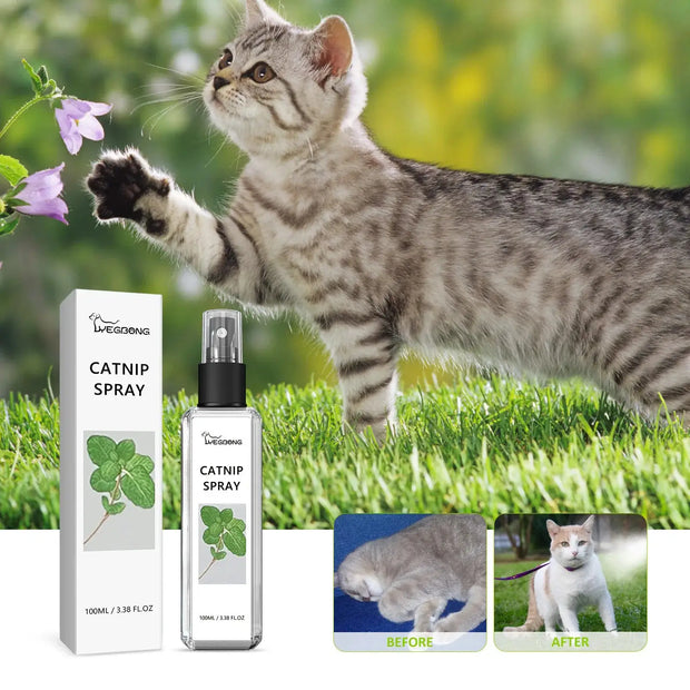 Cats Catnip Spray Relieve Stress Dogs wellness