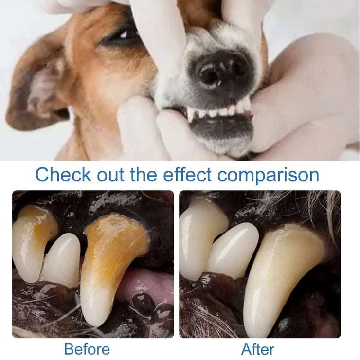 Pet Oral Spray Dental Dirt Remover Cat Teeth wellness