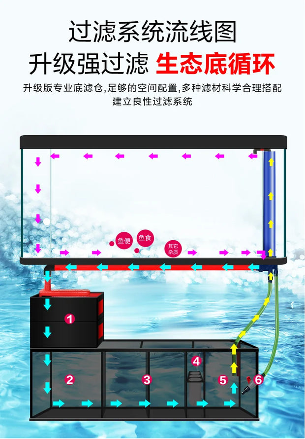 Modern Cultivation Clear Glass Marine Luxury