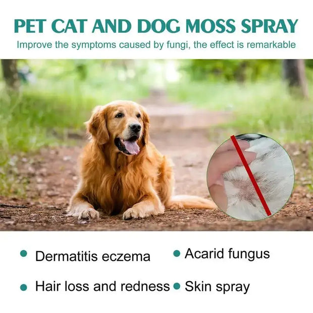 Cat wellness and Dog Skin Problems Pet Moss Spray