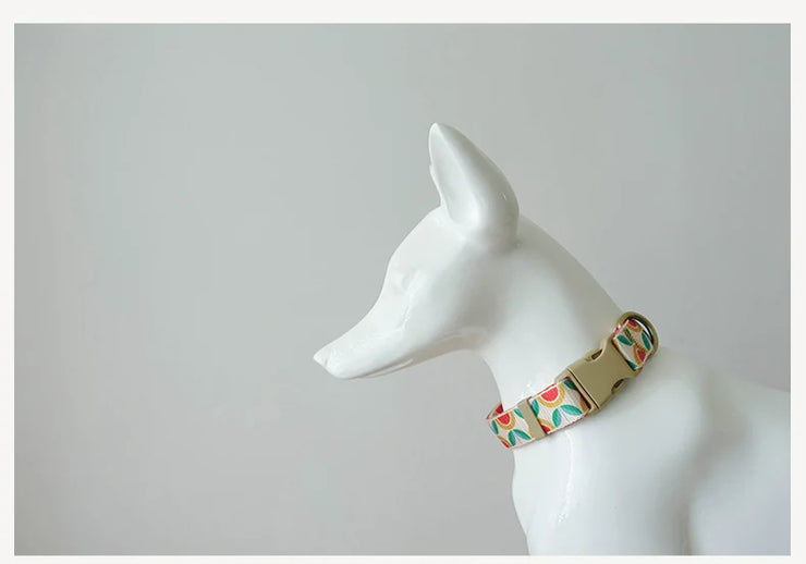 PLATTCO Nylon Printed Dog Collar