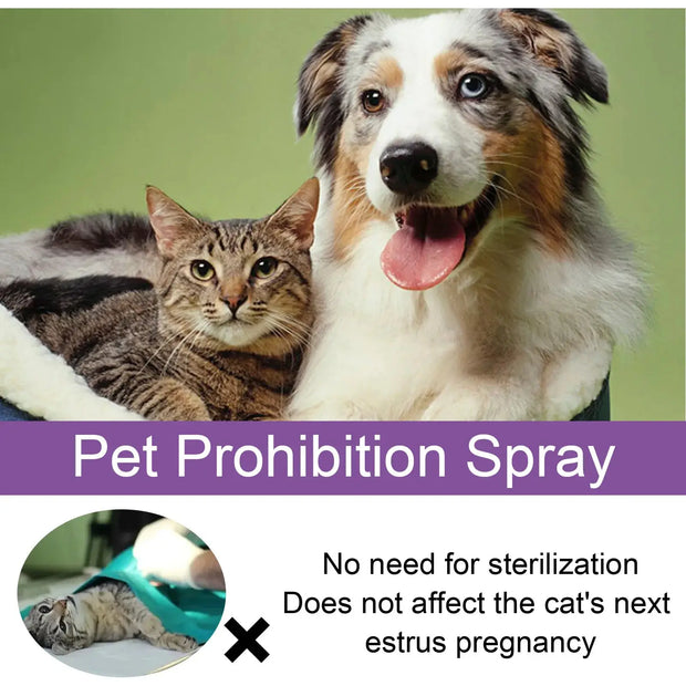 Pet Calming Spray Soothe Mood Puppy Dog wellness