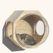 Wooden cat climbing frame with a luxury wall-mounted cat house featuring a clear acrylic bubble window. Ideal for cats to rest, play, and observe.