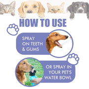 30ml Pet Oral Spray Dogs Teeth Cleaning wellness