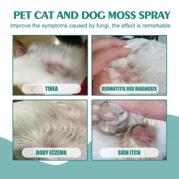 Cat wellness and Dog Skin Problems Pet Moss Spray