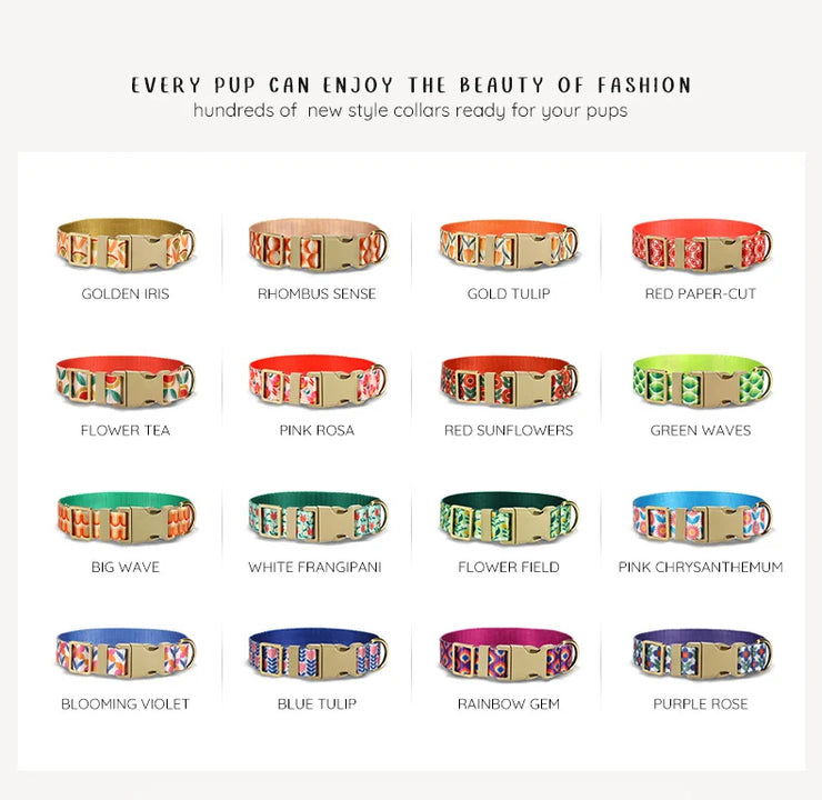 PLATTCO Nylon Printed Dog Collar