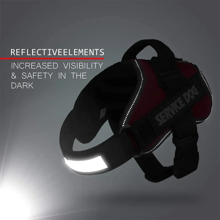 Personalized Dog Harness 3M Reflective